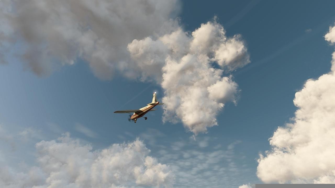 Project Cars - Imagen 27